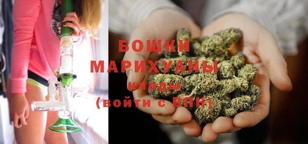 PSILOCYBIN Карпинск