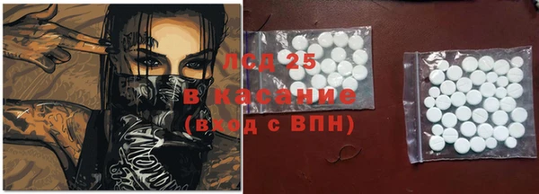 PSILOCYBIN Карталы