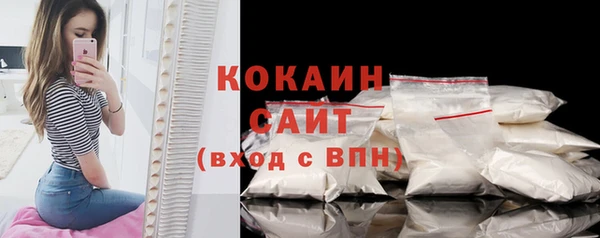 PSILOCYBIN Карталы