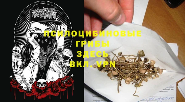 PSILOCYBIN Карпинск