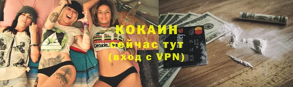PSILOCYBIN Карпинск