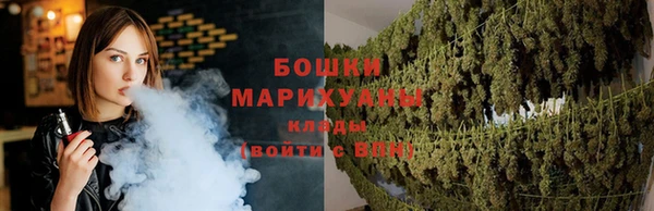 PSILOCYBIN Карталы
