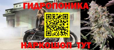 гидра Краснодар