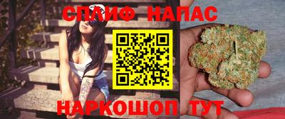 гидра Краснодар