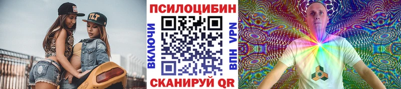 блэк спрут ссылка  Хасавюрт  Галлюциногенные грибы GOLDEN TEACHER  купить  цена 