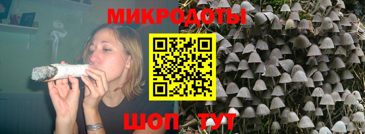 Хасавюрт  Галлюциногенные грибы GOLDEN TEACHER  Галлюциногенные грибы Cubensis  Вход с VPN 